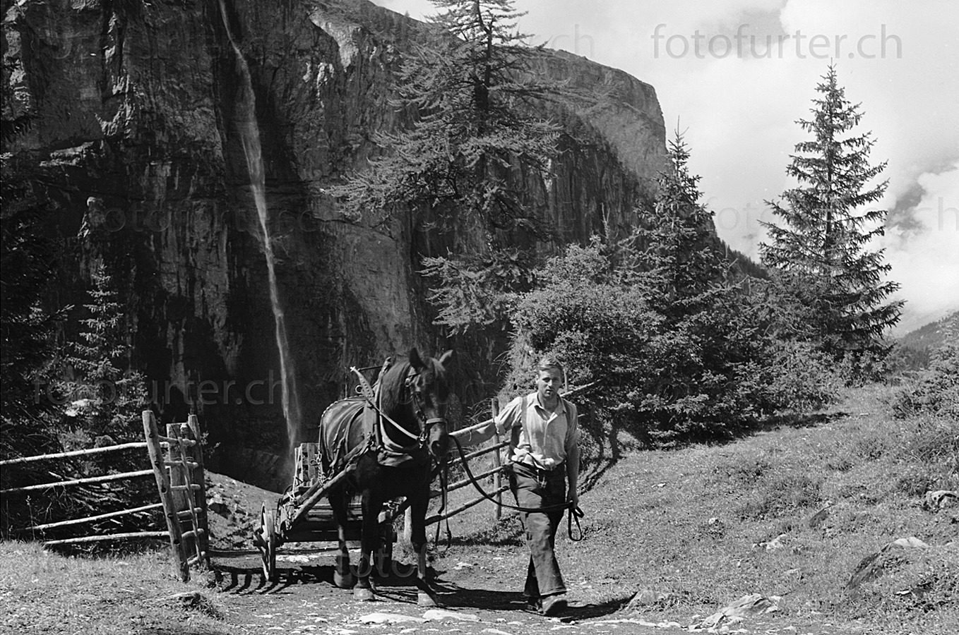 Pferd neben Bauer vor Wasserfall im Berner Oberland, historisches Archiv von Foto Furter