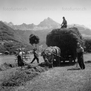 Bauerfamilie beim Heuen im Glarnerland, historische Foto von Otto Furter