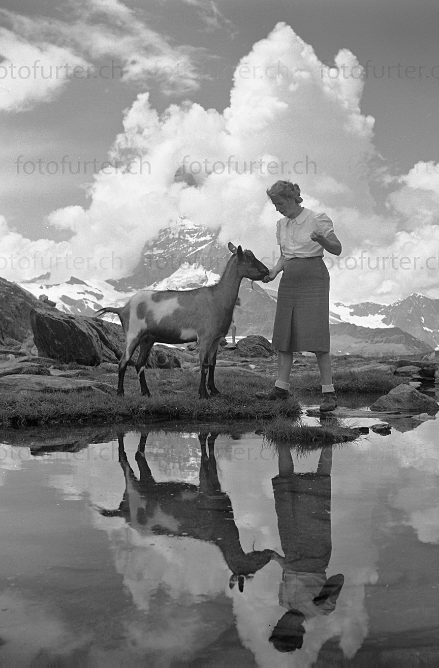 Ziege mit Frau spiegelt sich in See vor Matterhorn bei Zermatt, historische Foto von Otto Furter